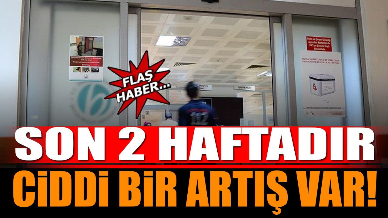 Tüm Türkiye'de Olduğu Gibi Isparta'da da Son 2 Haftadır Ciddi Bir Artış Var