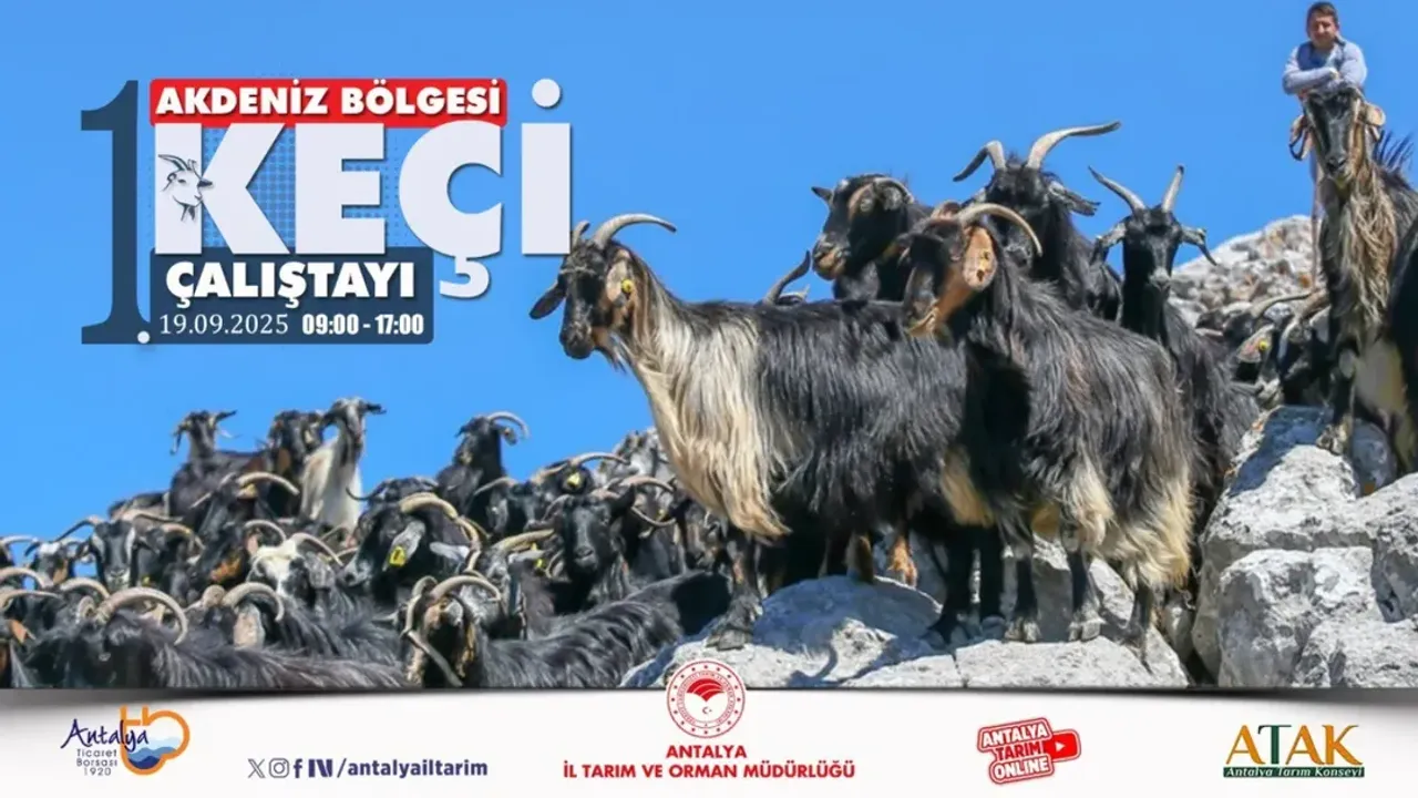 Akdeniz Bölgesi Keçi Çalıştayı Başlıyor
