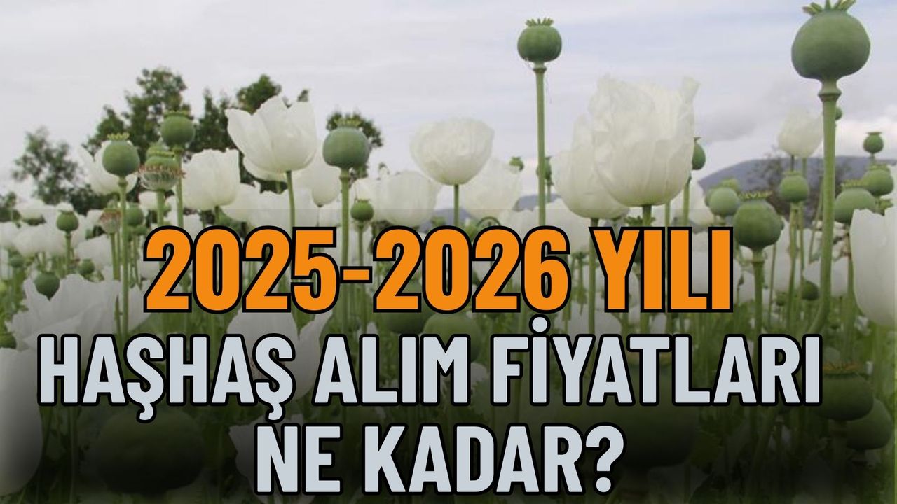 2025-2026 Dönemi Haşhaş Ekim ve Alım Şartlarını Açıklandı