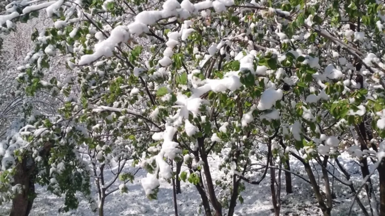 Çiftçiler dikkat: Destekleme ödemeleri aktarılıyor