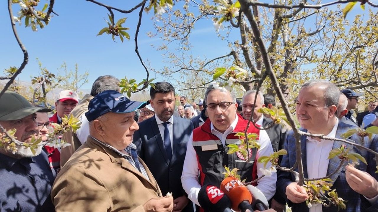 Uluborlu’da 51,5 milyon liralık don desteği çiftçilerin hesaplarında