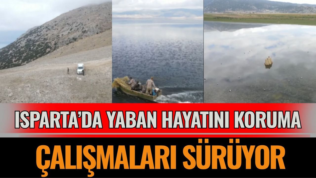 Isparta’da yaban hayatını koruma çalışmaları sürüyor