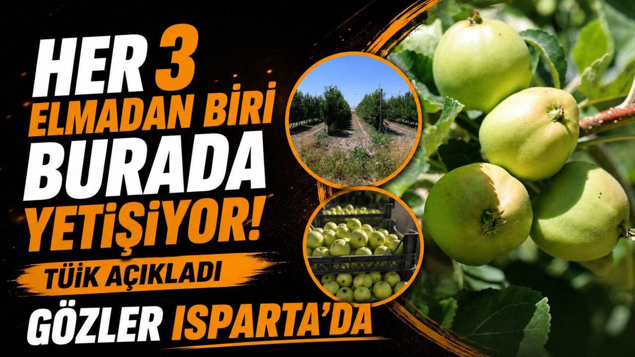 Isparta Elmasında Rekolte Patlaması Bekleniyor