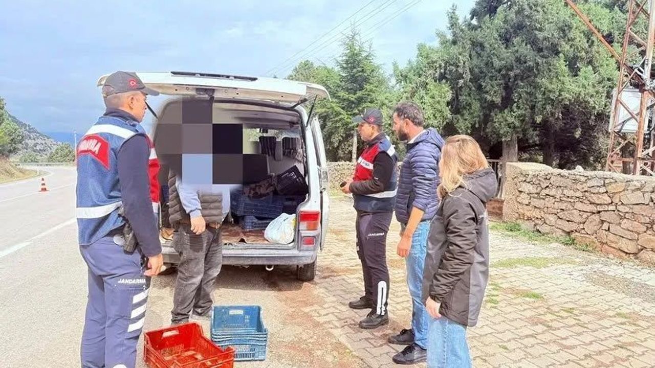Eğirdir Gölü’nde Kaçak Avcılığa Darbe: 114 Kilo Balığa El Konuldu