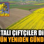 Isparta’da Çiftçilere Yeni Ürün Fırsatı! Kanola İçin Dikkat Çeken Çağrı