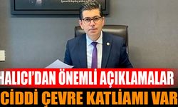 Eğirdir Gölü ve Mermer Ocakları Hakkında Kritik Uyarılar