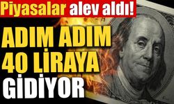 Dolar adım adım 40 liraya gidiyor!