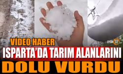 Isparta'da tarım alanlarını dolu vurdu çiftçi perişan oldu