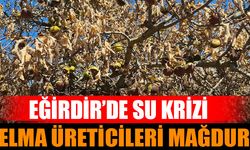 Eğirdir’de Su Krizi: Elma Üreticileri Mağdur