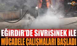 Eğirdir'de Sivrisinekle Mücadele Çalışmaları Sürüyor