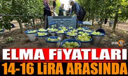 Isparta’da Elma Fiyatları 14-16 Lira Arasında!