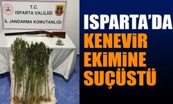 Isparta'da Uyuşturucu Operasyonu: Yalvaç'ta Kenevir Ekimine Suçüstü