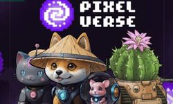 Pixelverse (PixelTap) Günlük Kombosu 18 Ağustos 2024