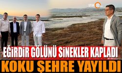 Eğirdir Gölünü Sinekler Kapladı Koku Şehre Yayıldı