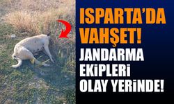 Isparta'da Vahşet! Jandarma Olay Yerinde