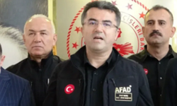 İzmir'deki Orman Yangınlarının Ardından Yapılan Hasar Tespit Çalışmaları ve Yetkililerin Açıklamaları