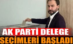 AK Parti’de Delege Seçimleri Başladı