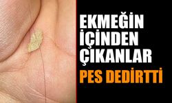 Ekmeğin İçinden Çıkanlar Pes Dedirtti