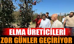 Isparta'da Elma Üreticileri Zor Günler Geçiriyor