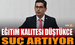 Yalım Halıcı: Eğitim Kalitesi Düştükçe Suç Artıyor