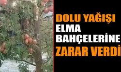 Dolu Yağışı, Isparta Elma Bahçelerine Ciddi Zarar Verdi