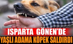 Yaşlı Adam Köpek Saldırısına Uğradı, Hayati Tehlike Altında