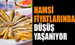 Hamsi Fiyatlarında Düşüş Yaşanıyor