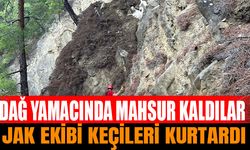 Isparta'da Mahsur Kalan Keçiler Jandarma Tarafından Kurtarıldı