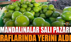 Mandalinalar Salı Pazarı Raflardaki Yerini Aldı