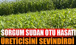 Çiftçilere %75 Hibeli Sorgum Sudan Otu Desteği