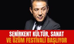 Senirkent'te Kültür, Sanat ve Üzüm Festivali Başlıyor