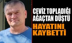 Ceviz Toplarken Düşen Adam Hayatını Kaybetti