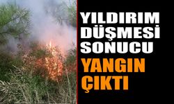 Yıldırım Düşmesi Sonucu Yangın Çıktı