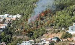 Son dakika - Alanya Bektaş'ta orman yangını! Kentin her yerinden gözlendi