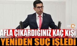 Afla Çıkardığınız Kaç Kişi Yeniden Suç İşledi