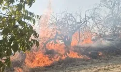 Bozdağ’da 1 ayda 7 ayrı noktada yangın çıktı