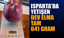 Isparta'da yetişen dev elma, görenleri şaşırttı