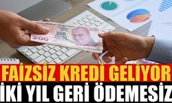 Faizsiz ve 2 yıl geri ödemesiz kredi geliyor!