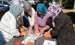 Çameli’de Alıç Sirkesi Üretimi İçin Eğitim Düzenlendi