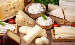 Parmesan Peyniri: Dünyanın En Sağlıklı Peyniri Türk Mutfağında Neden Tercih Edilmiyor?