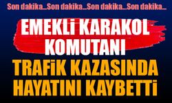 Emekli karakol komutanı hayatını kaybetti