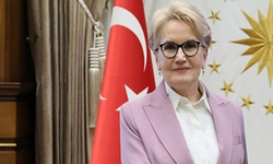 Meral Akşener'den Kayınbiraderine Suç Duyurusu