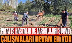 Patates Hastalık ve Zararlıları Sürvey Çalışmaları Isparta'da Devam Ediyor