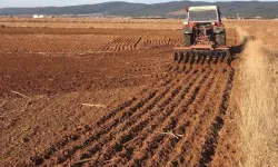 Boş Araziler Üretime Kazandırılacak: Devlet Kiraya Verip Üretim Yaptıracak