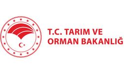 Tarımda Yeni Dönem: Akıllı Tarım Uygulamaları