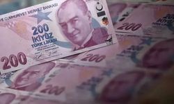 200 TL’lik Kupür Payı Yüzde 80’i Aştı