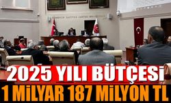 İl Özel İdaresi bütçesi 1 milyar 187 milyon 450 bin lira