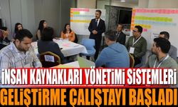 İnsan Kaynakları Yönetimi Sistemleri Geliştirme Çalıştayı Başladı