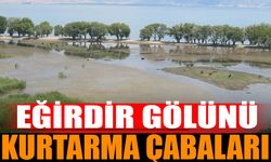 Eğirdir Gölü'nü Kurtarma Çabaları