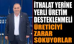 İthalat Yerine Yerli Üretimin Desteklenmesi Gerekiyor